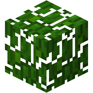 Jungle Leaves image