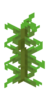 Kelp image