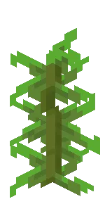 Alga image