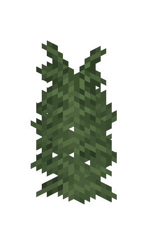 Large Fern image