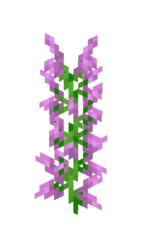 Lilac image