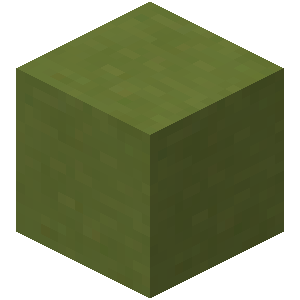 Lime Terracotta image