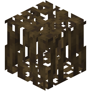 Mangrove Roots image