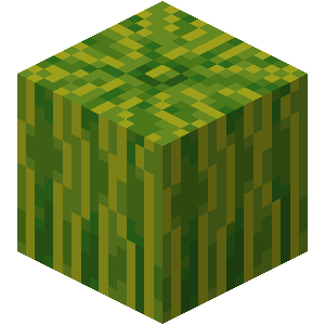 Melon image
