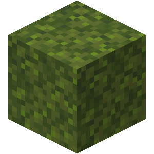 Moss Block image