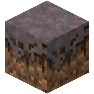 Mycelium image