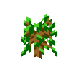 Oak Sapling image