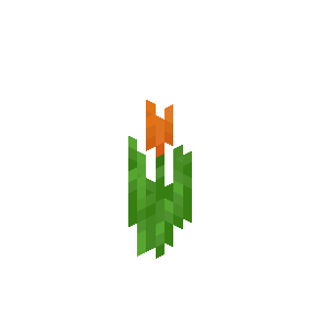 Orange Tulip image