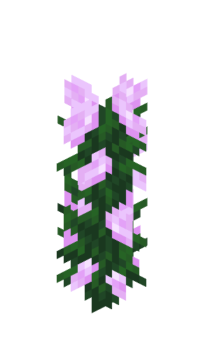 Peony image