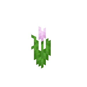 Pink Tulip image