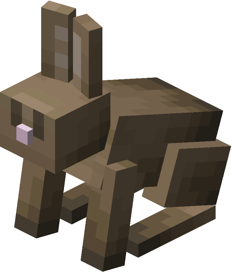 Rabbit image