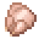 Raw Chicken image