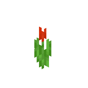 Red Tulip image