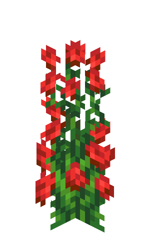 Rose Bush image