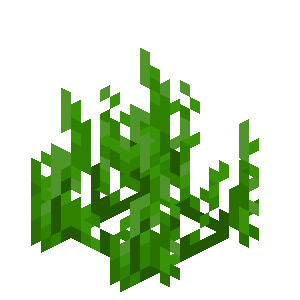 Seagrass image