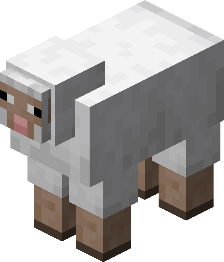 Sheep image