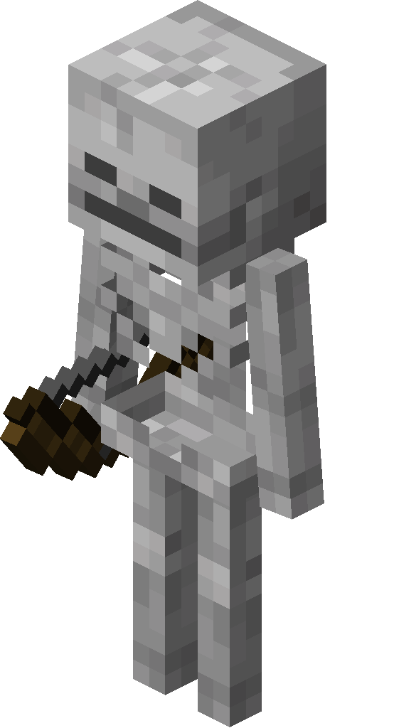Skeleton image