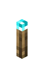 Fakľa duší