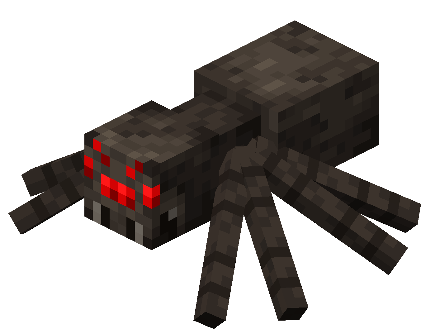 Spider image