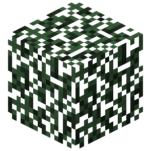 Spruce Leaves image