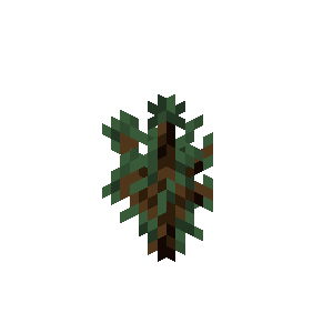 Spruce Sapling image