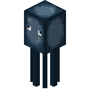 Squid image