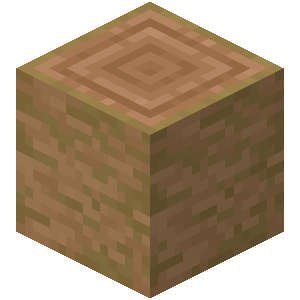 Stripped Jungle Log image