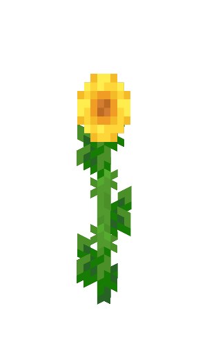 Sunflower image