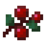 Sweet Berries image