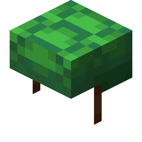 Turtle Shell image