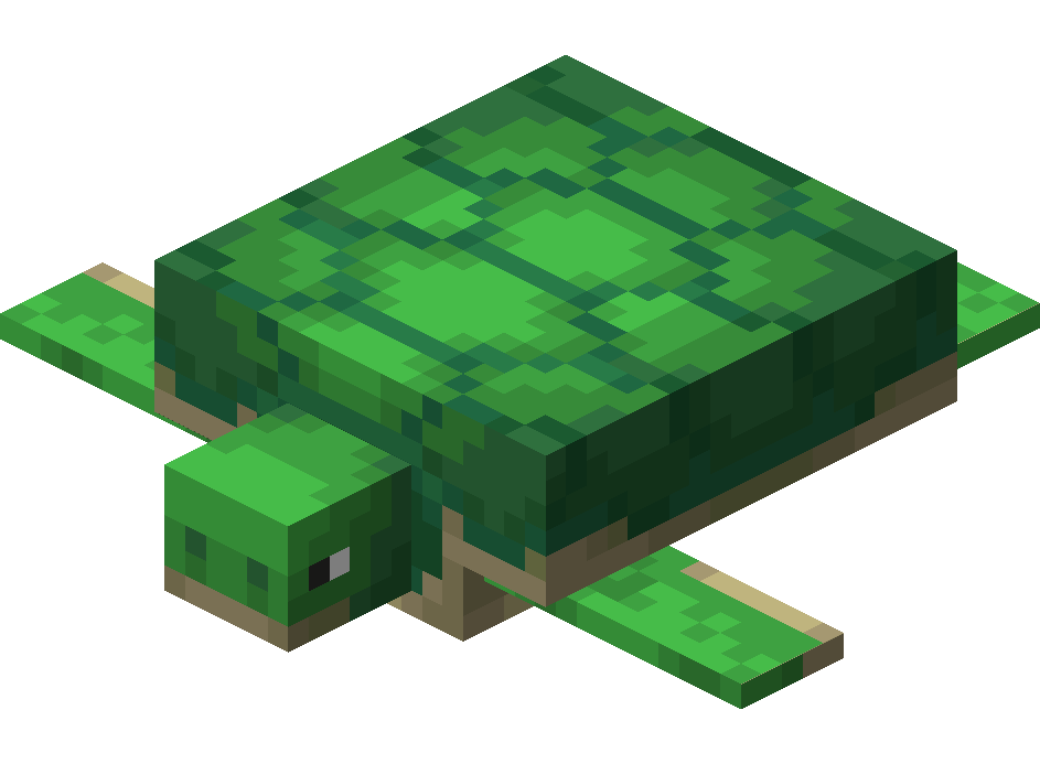 Turtle image
