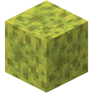Wet Sponge image