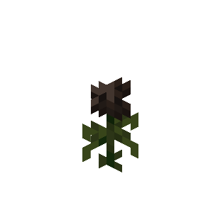 Wither Rose image