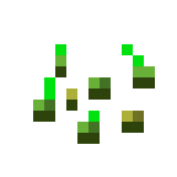 Seeds image